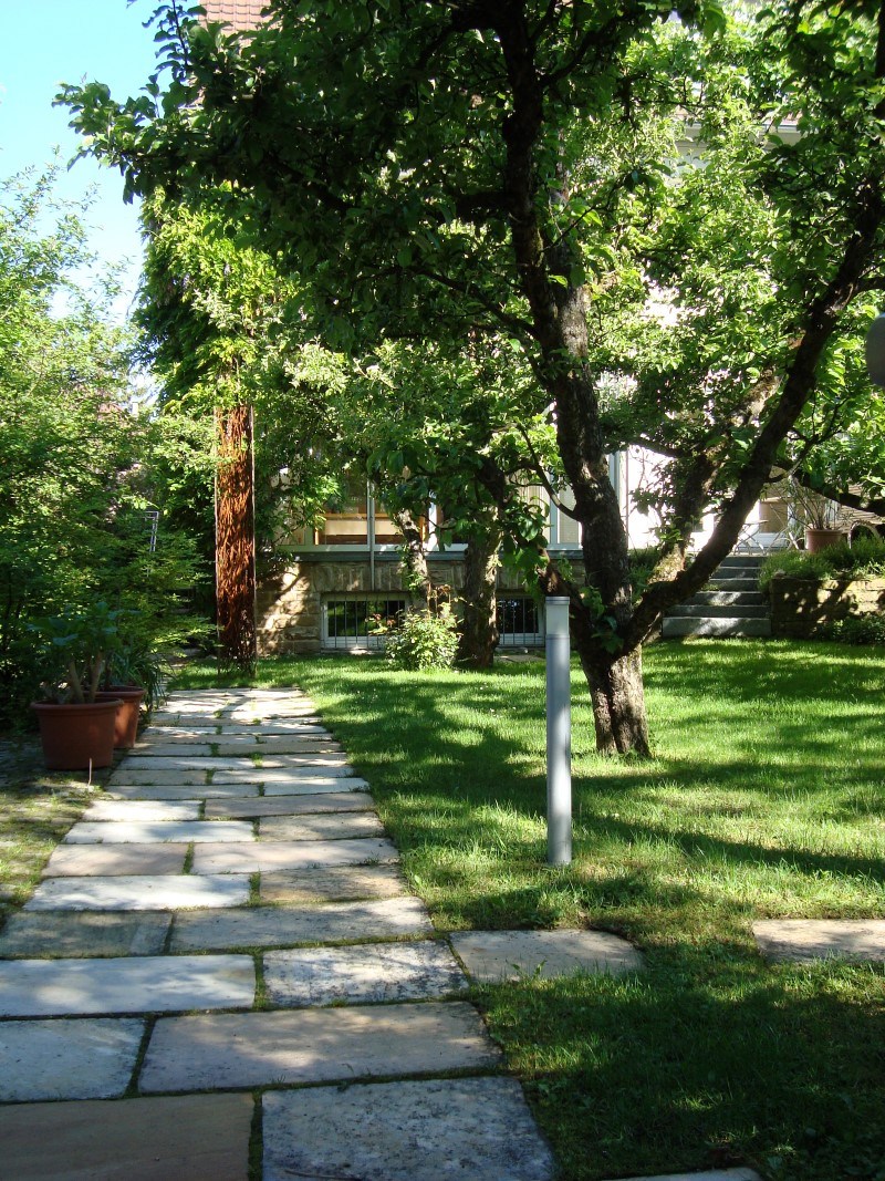 DSC00650